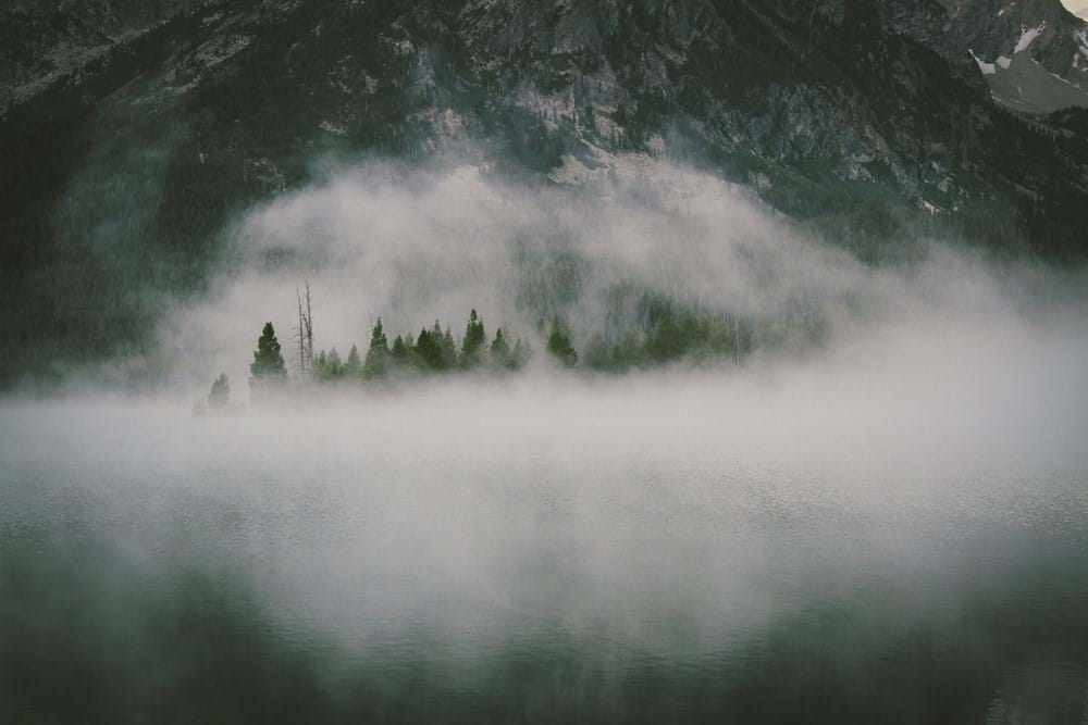 mist over forest and mountain