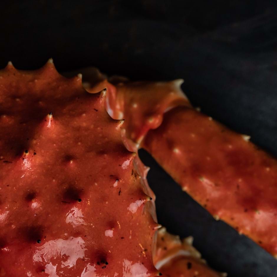 close up of crab