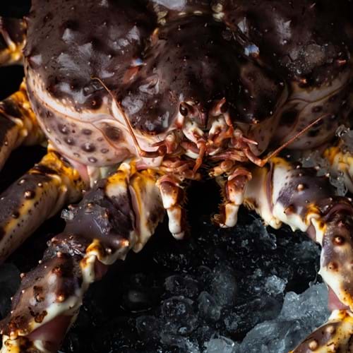 up close of crab