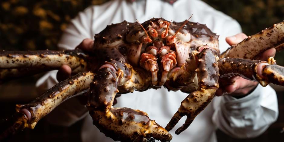 person holding a crab