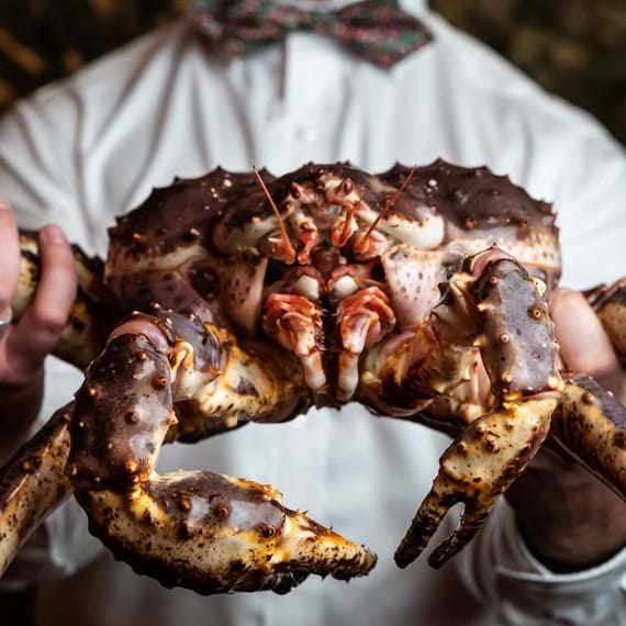 person holding a crab