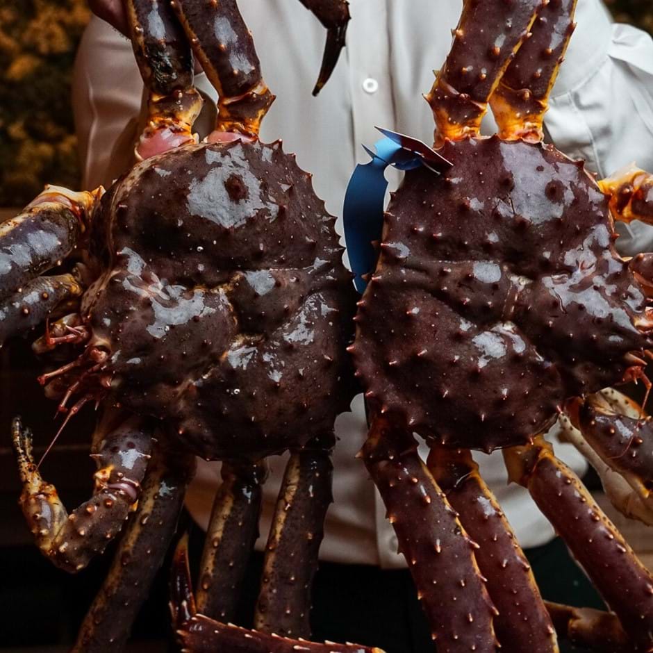 person holding two crabs