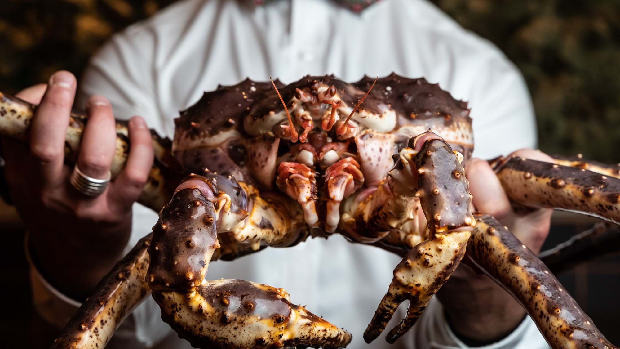person holding a crab