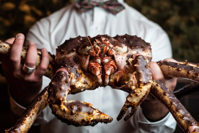 person holding a crab