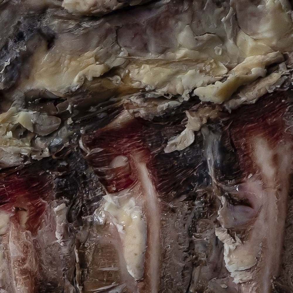 meat close up