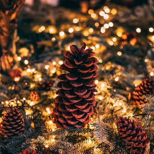 festive pinecones