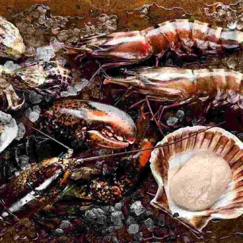 Beast 66 1 1 (1) (1)